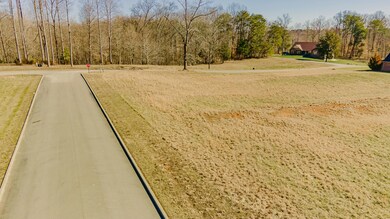 23 Grand Trace, Nancy, KY 42544 - photo 6