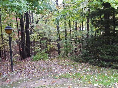 View from 4 Seasons Room