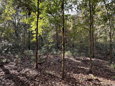 0 NE 125th Ln, Branford, FL 32008 - photo 3