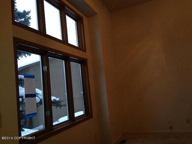 Living Room Windows