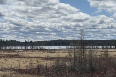 1899 Amik Lake Ln, Lac Du Flambu, WI 54538 - photo 4