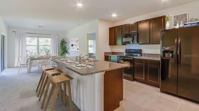 35534 Stella Vast Dr, Zephyrhills, FL 33541 - photo 3