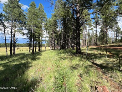 Keith 14646 South property line east