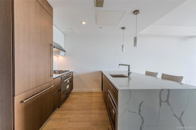 The Farrington unit 11-G, Flushing, NY 11354 - photo 5