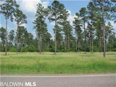 0 Wilmer Tanner Williams Rd unit 224654, Wilmer, AL 36587 - photo 2