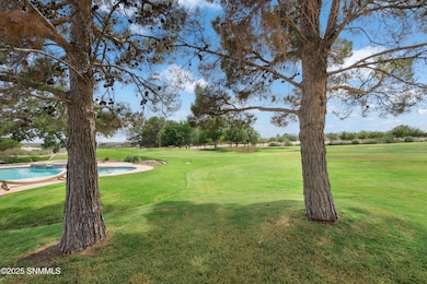 103 Paloma Mesa Rd, Anthony, NM 88021 - photo 5