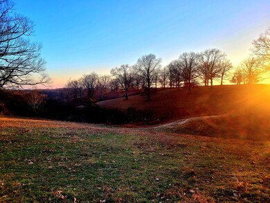Dogwood Tree Road pics.jpg4