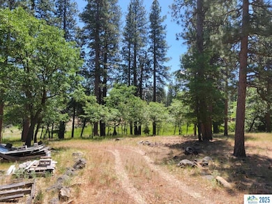 000 Dirt Pine St, Janesville, CA 96114 - photo 3