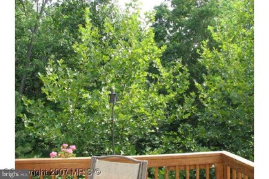 21492 Foche Terrace, Broadlands, VA 20148 - photo 6