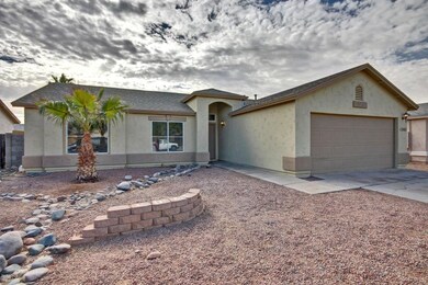 Cactus - 1363 (25)