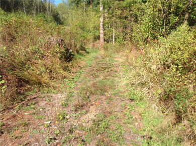 0 Logan Hill Rd unit 851426, Chehalis, WA 98532 - photo 2