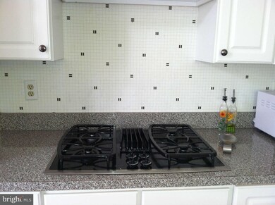 4 Cornelius Ct unit 4, Pikesville, MD 21208 - photo 7