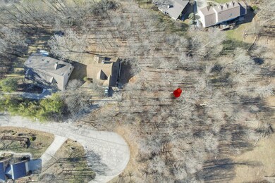 3-web-or-mls-DJI_0063 - Copy