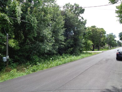 0 Bay Ct unit 98964112, Brazoria, TX 77422 - photo 3