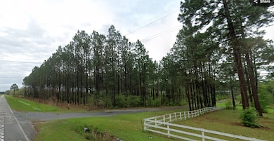 0 Pleasant Grove Church Rd, Albany, GA 31705 - photo 2