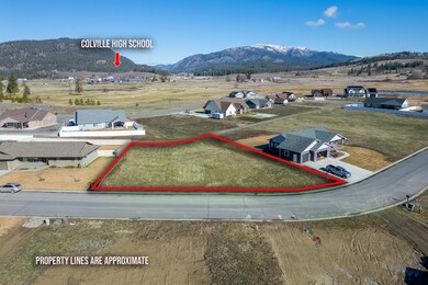 04-2037 ringneck loop-colville