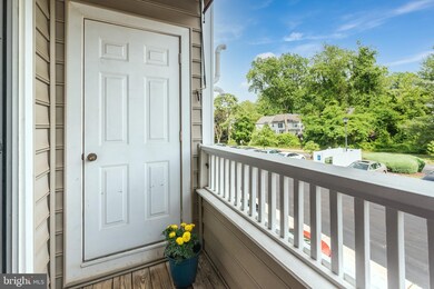 2006 Peggy Stewart Way unit 210, Annapolis, MD 21401 - photo 4