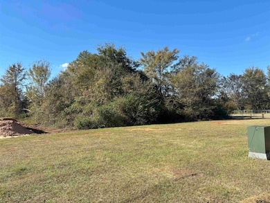 Lot 166 Kitty Hawk Dr, Berryville, TX 75763 - photo 3