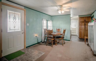 707 E Walnut St, Chalmers, IN 47929 - photo 6