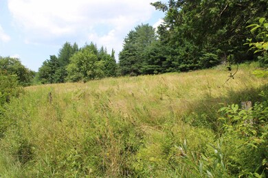 0 Ferguson Rd, Barnet, VT 05821 - photo 4