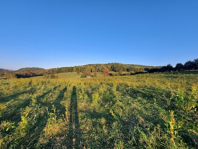 48.5 Acres Owl Hole Gap Rd, Rutledge, TN 37861 - photo 5