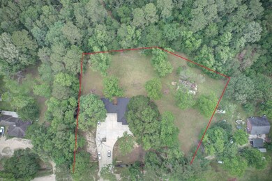 Soaring above your future homestead—imagine garden