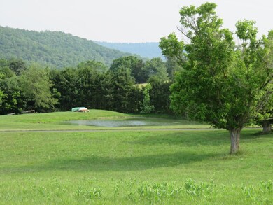 680 Mountain View Rd, Lexington, VA 24450 - photo 4