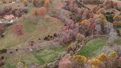 000 Weatherby Dr unit 9.16 Ac Tract, Fordland, MO 65652 - photo 5