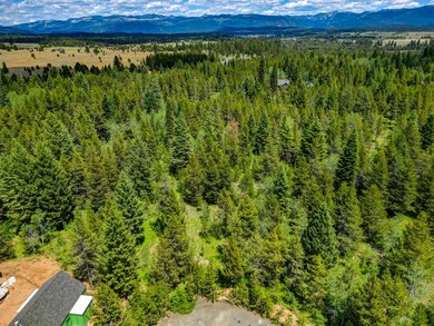 0 Thunderbolt Place unit 67 541959, McCall, ID 83638 - photo 3