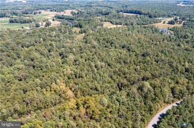 0 File Rd unit VACV2008830, Milford, VA 22514 - photo 2