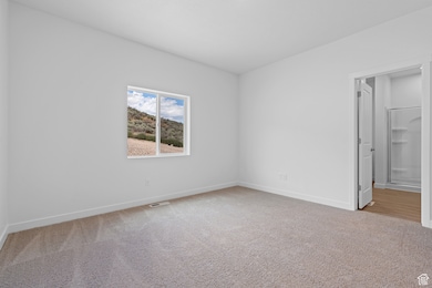 Unfurnished bedroom with light colored carpet and a spacious closet