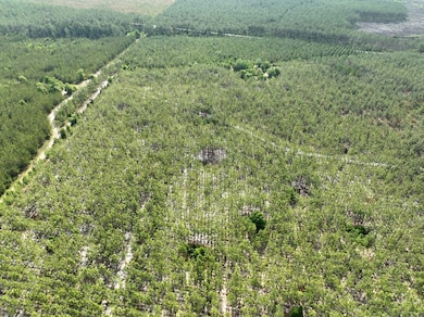 0 Ralph Davis Rd, Folkston, GA 31537 - photo 6