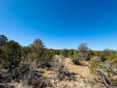 4108 Sunset Ridge Loop unit 135, Happy Jack, AZ 86024 - photo 4