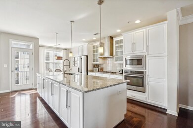 23500 Belvoir Woods Terrace, Ashburn, VA 20148 - photo 3