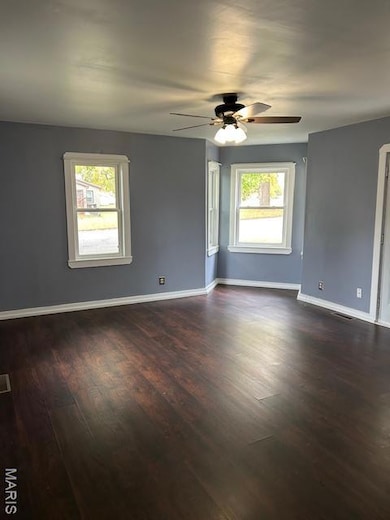 118 E Elm St, Palmyra, MO 63461 - photo 4