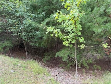 281 Vistaview Pkwy, Jasper, GA 30143 - photo 7