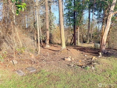 0 13th St unit NWM2458063, Port Townsend, WA 98368 - photo 4