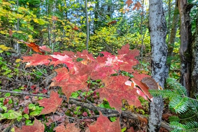 Off S Turtle Lake Rd unit S5, Winchester, WI 54557 - photo 7