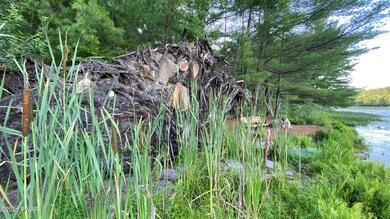 86 Covered Bridge Dr, Palmyra Township, PA 18428 - photo 2