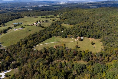 12284 Flowers Rd, West Fork, AR 72774 - photo 6