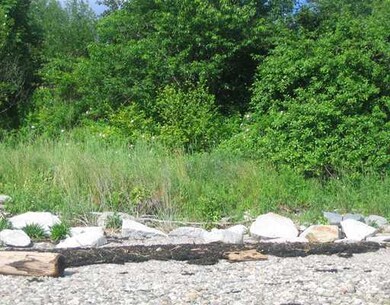 Land. Beach area