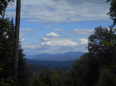 unlisted-address, Waterford, VT 05819 - photo 4