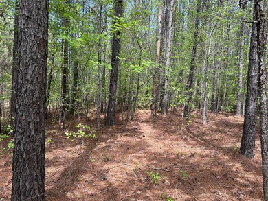 1147 Watersedge Cove, Tignall, GA 30668 - photo 3