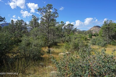 Mature Trees & vegetation