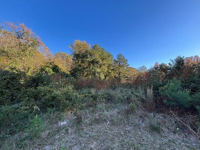 View from middle of lot facing into lot