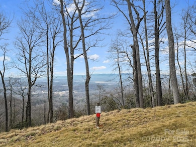 Lot 65 Featherstone Dr unit 65, Fletcher, NC 28732 - photo 2