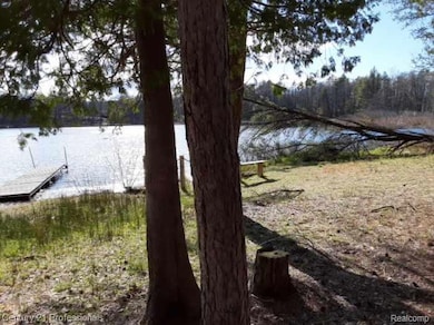 6710 Chippewa Trail, Rogers Township, MI 49779 - photo 6