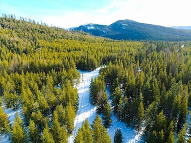 NHN Elk Creek - McGinnis Meadows Road Section 11, Libby, MT 59923 - photo 3