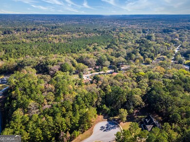 120 Hidden Falls Ct, Rutledge, GA 30663 - photo 5