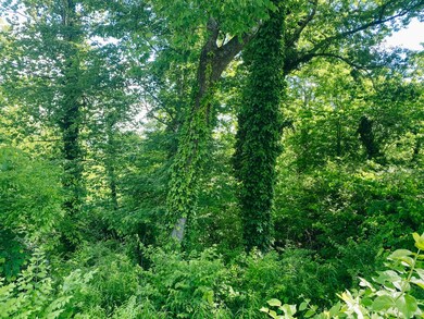 0 Red Oak Dr unit RTC2332729, Chattanooga, TN 37415 - photo 3